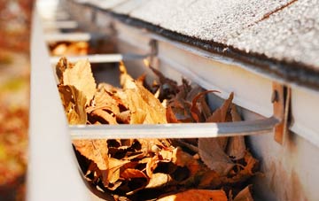 Stoke D Abernon gutter cleaning companies