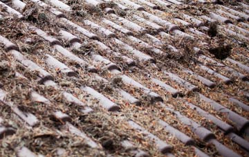 Stoke D Abernon roof cleaning companies