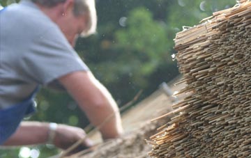 professional Stoke D Abernon thatchers