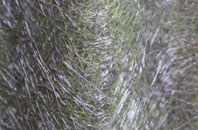 Stoke D Abernon fibreglass roof work